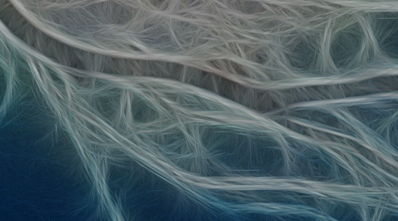 Vue microscopique de mèches de cheveux