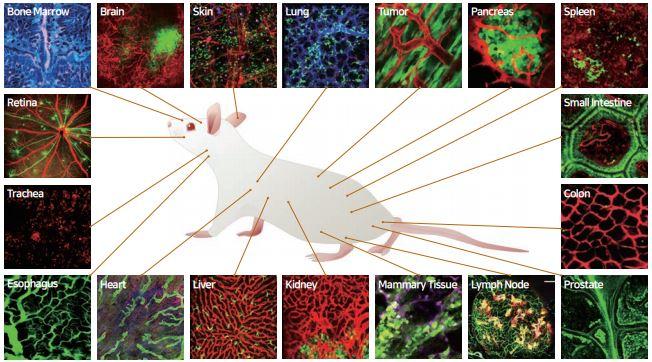 Applications IVIM (la liste se trouve au dessus de l'image)