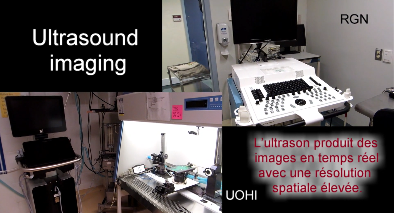 Lien vers la vidéo d'introduction