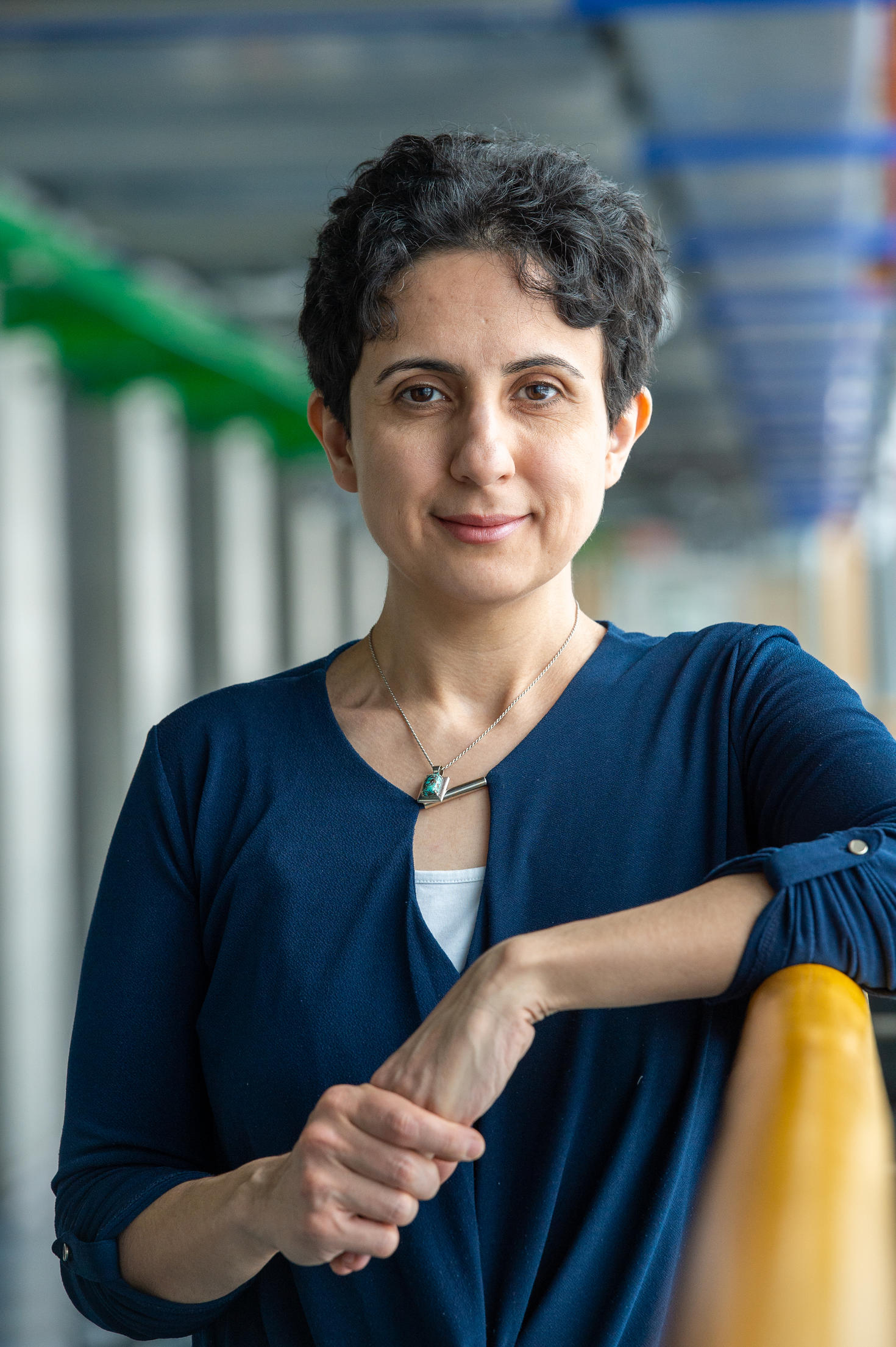 Shiva Nejati