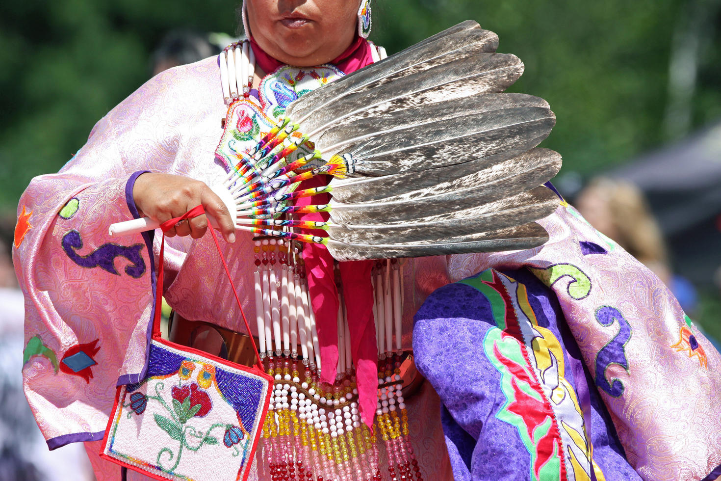 Indigenous Studies
