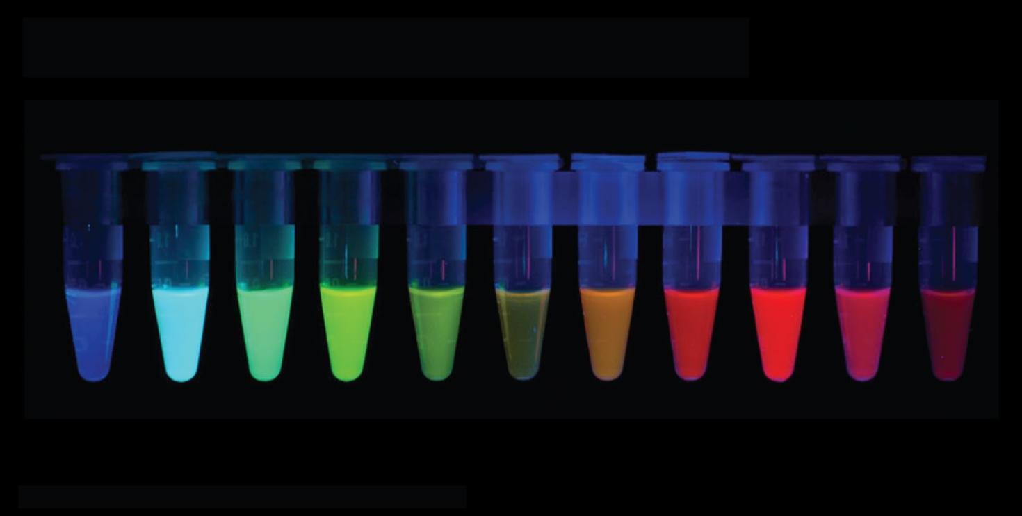 Proteines fluorescentes