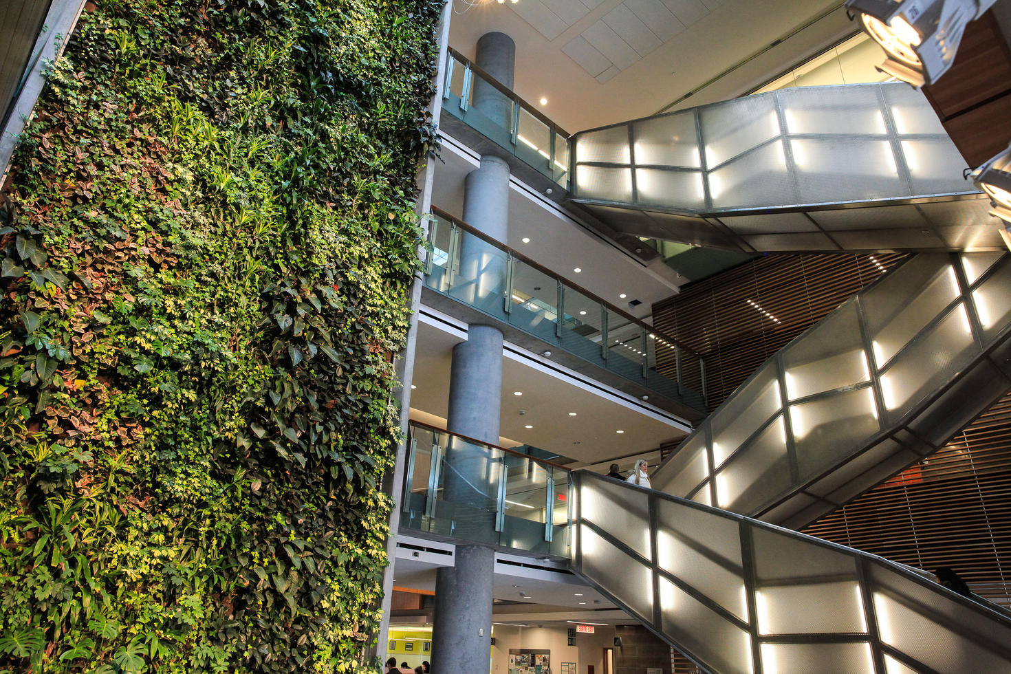 FSS Living Wall