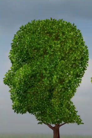 Image tirée de la vidéo sur Construire la mémoire et la réserve cognitive de votre cerveau