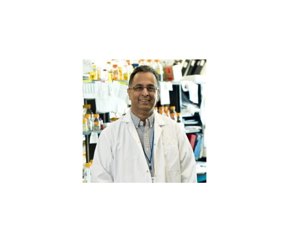 Dr. Rashmi Kothary