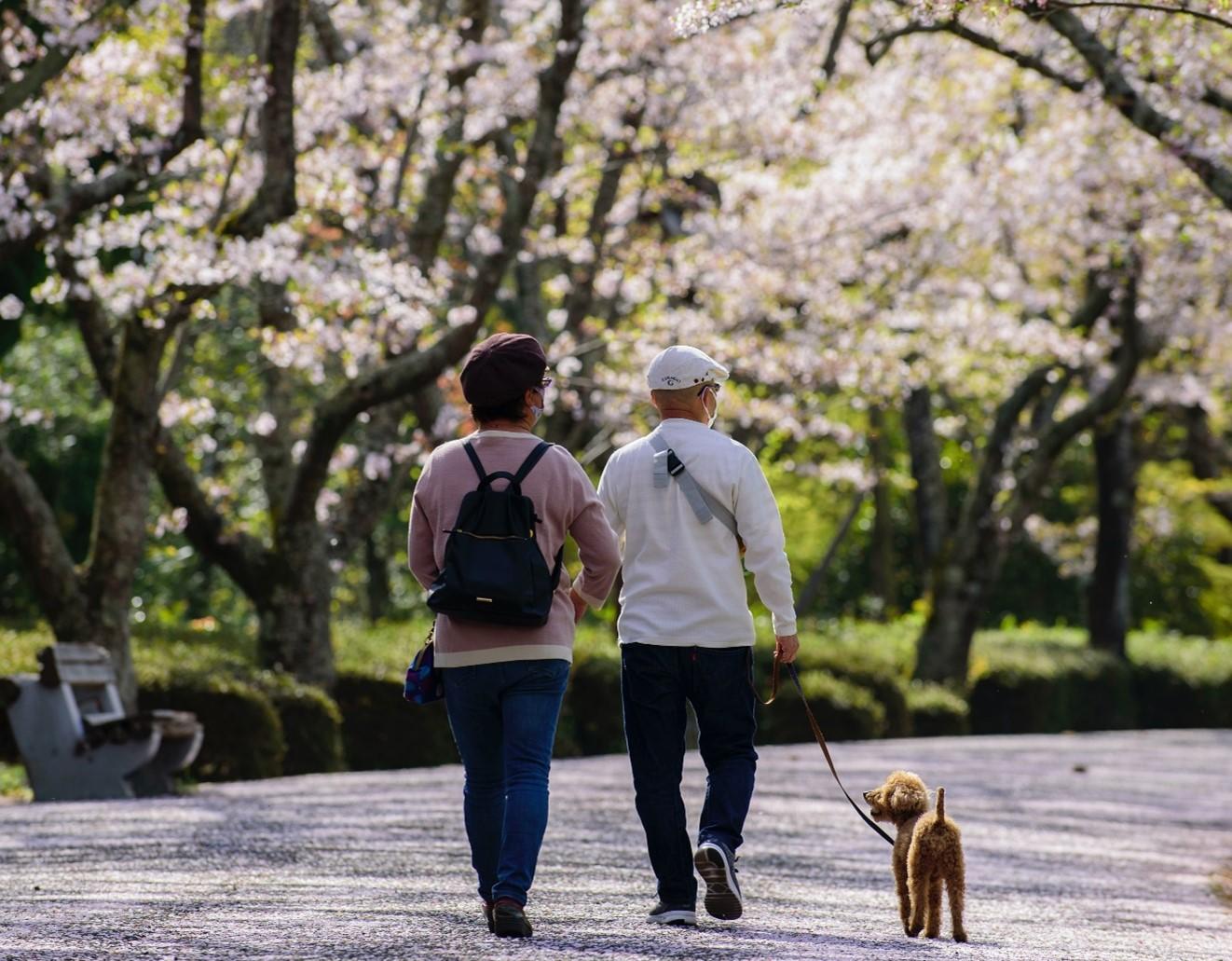 Personnes promenant leur chien