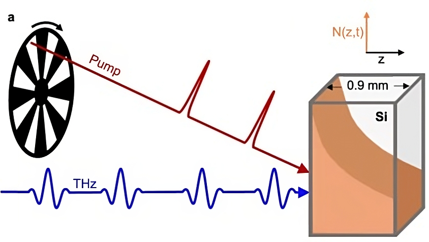 Spectroscopie THz à pompe optique et sonde THz à impulsion unique