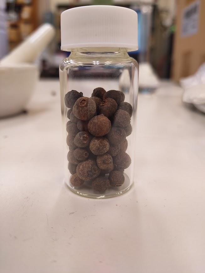 jar of allspice