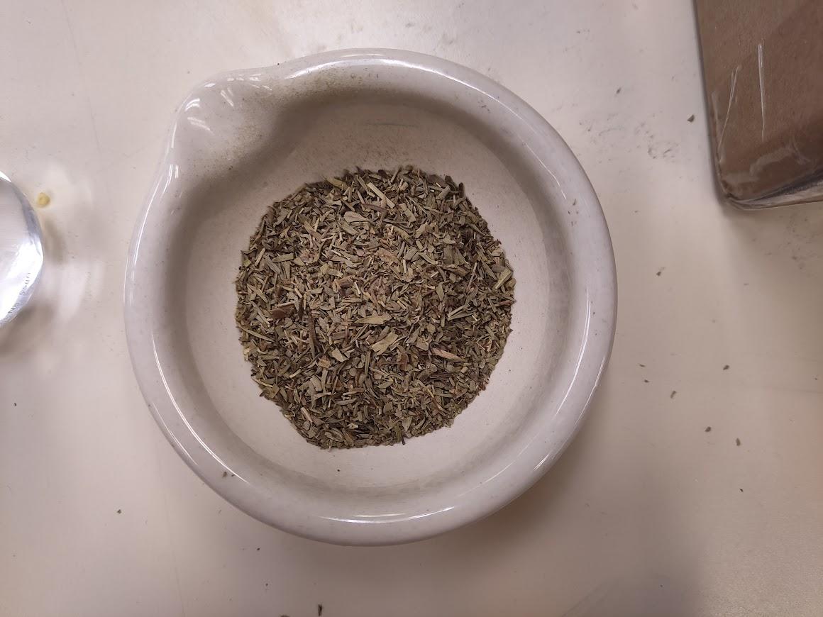 winter savory