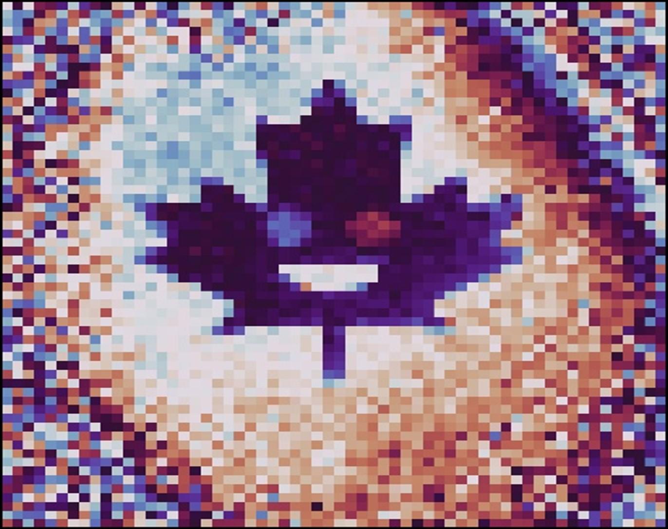 Un hologramme numérique d’un photon unique à l’image d’une feuille d’érable