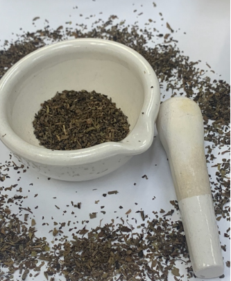 Rama Holy Basil Leaf, Ocimum sanctum