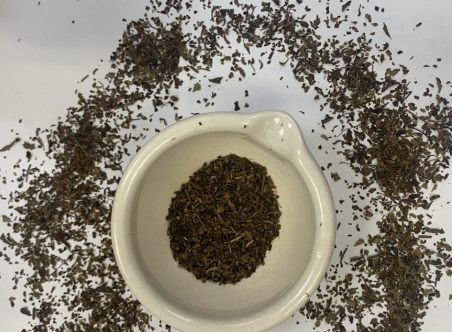 Vana Holy Basil Leaf, Ocimum gratissimum.