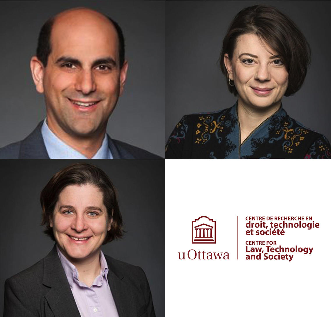 Michael Pal, Marina Pavlović, et Amy Salyzyn.