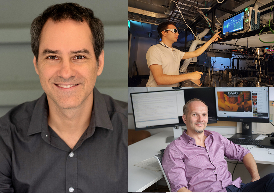 Profils des auteurs de l'étude