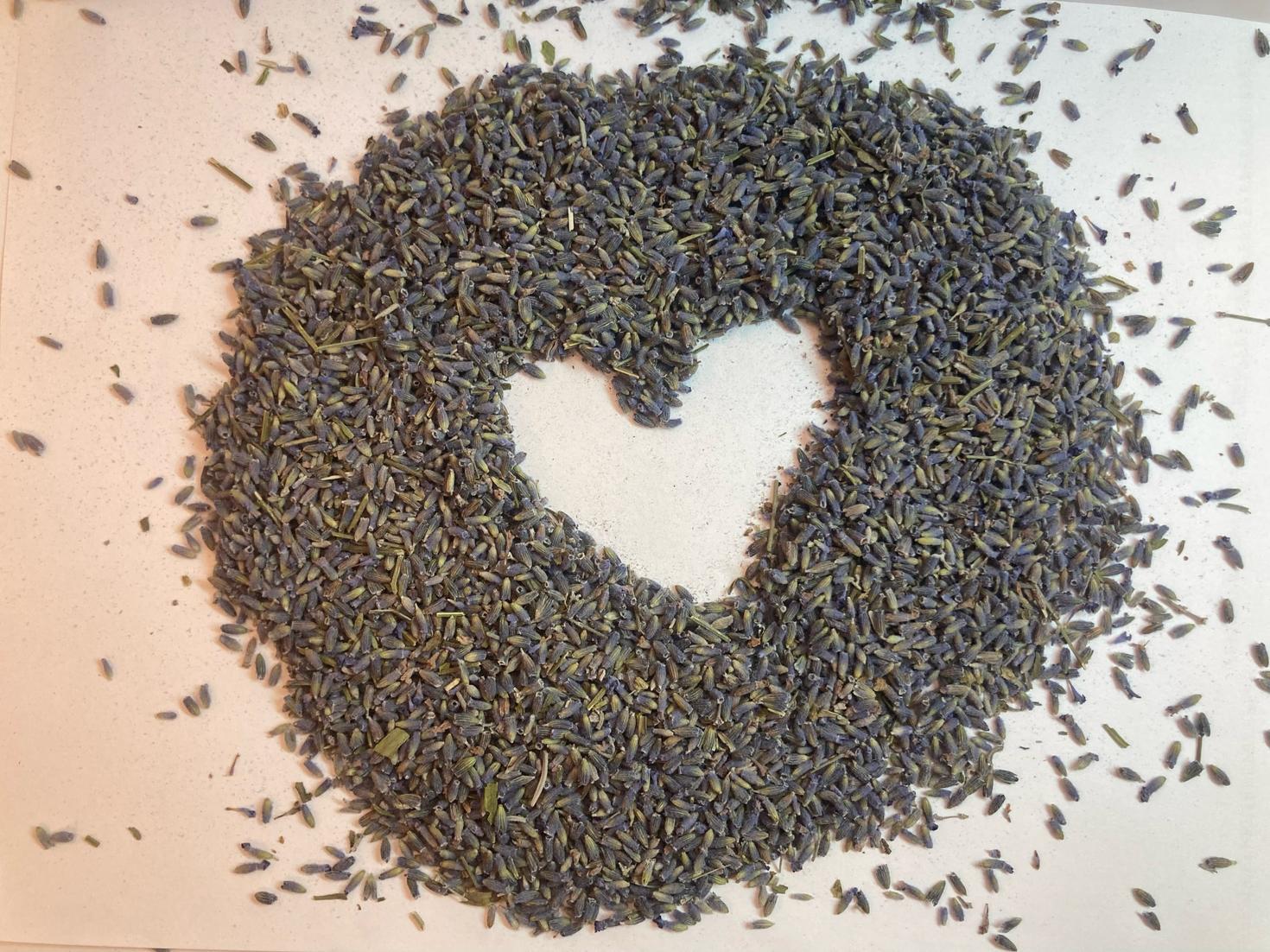 Lavender