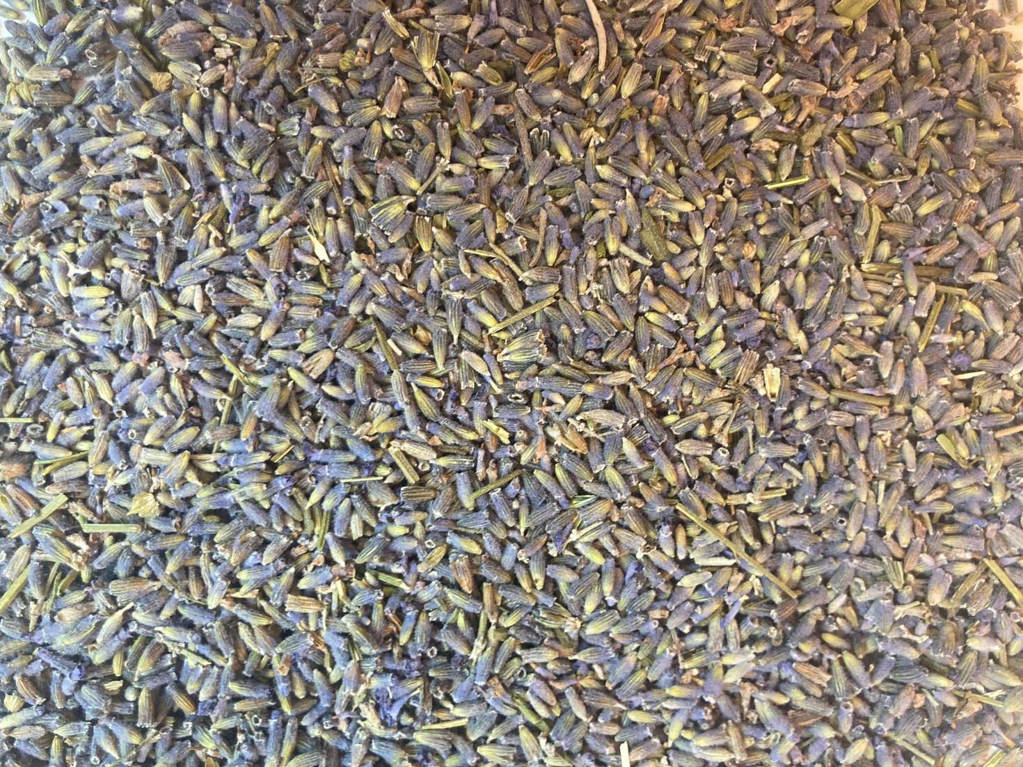 Lavender