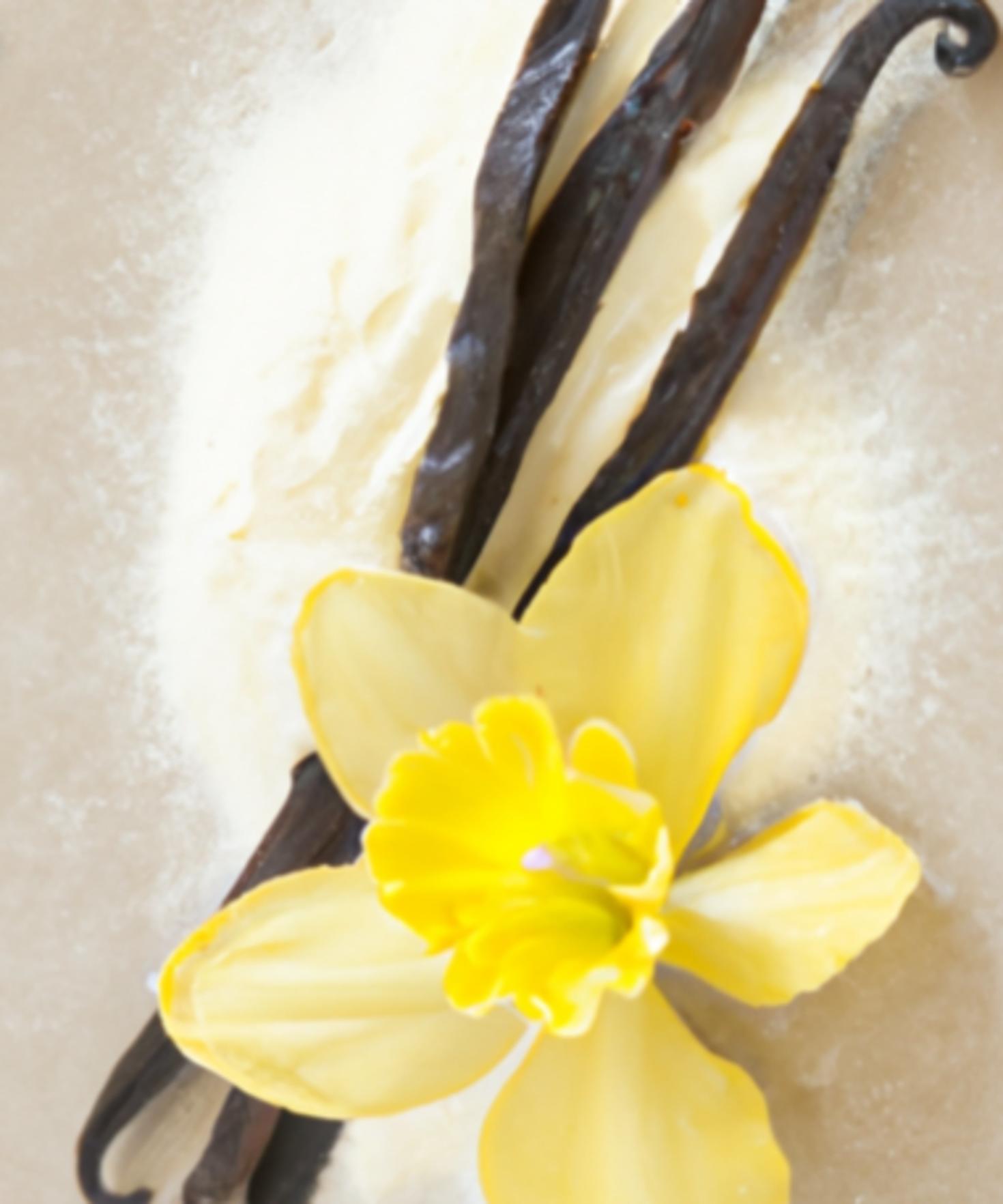 gousse de vanille et fleur