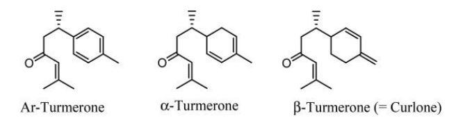 Tumerone molecules