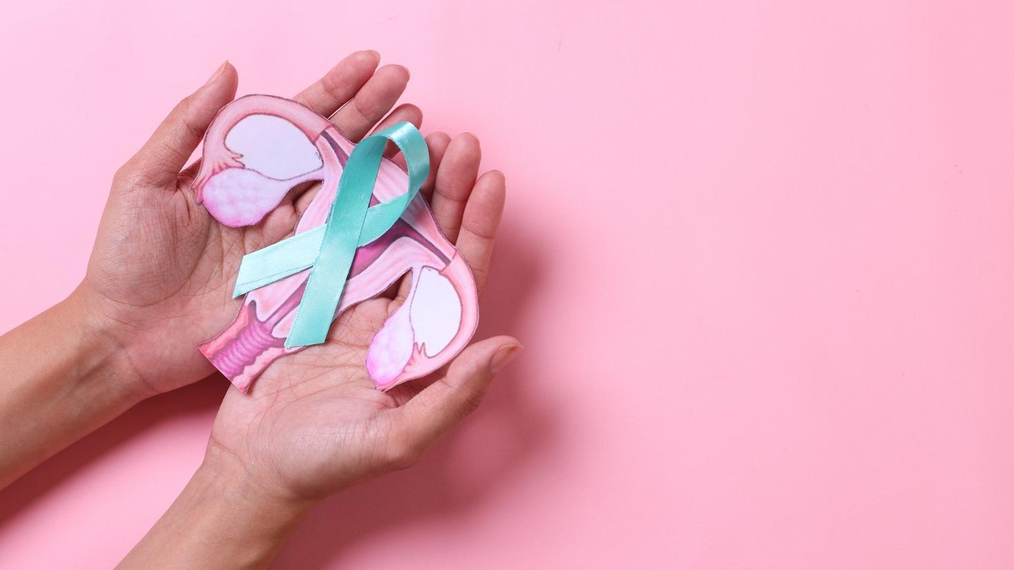 Des mains tenant un dessin du système reproducteur féminin et du ruban du cancer de l'ovaire