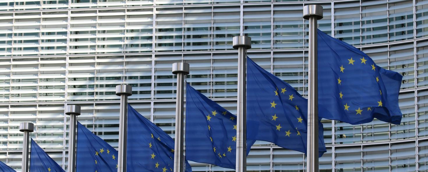 Drapeaux de l'Union européenne flottant devant un bâtiment
