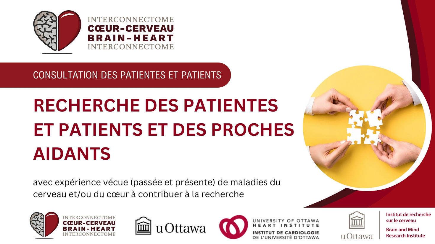 L’image dit « Engagement des patients : Recherche de patients et de soignants partenaires ayant une expérience vécue ou vivante des maladies cérébrales et/ou cardiaques pour contribuer à la recherche » avec une photo de personnes assemblant 4 pièces de puzzle.