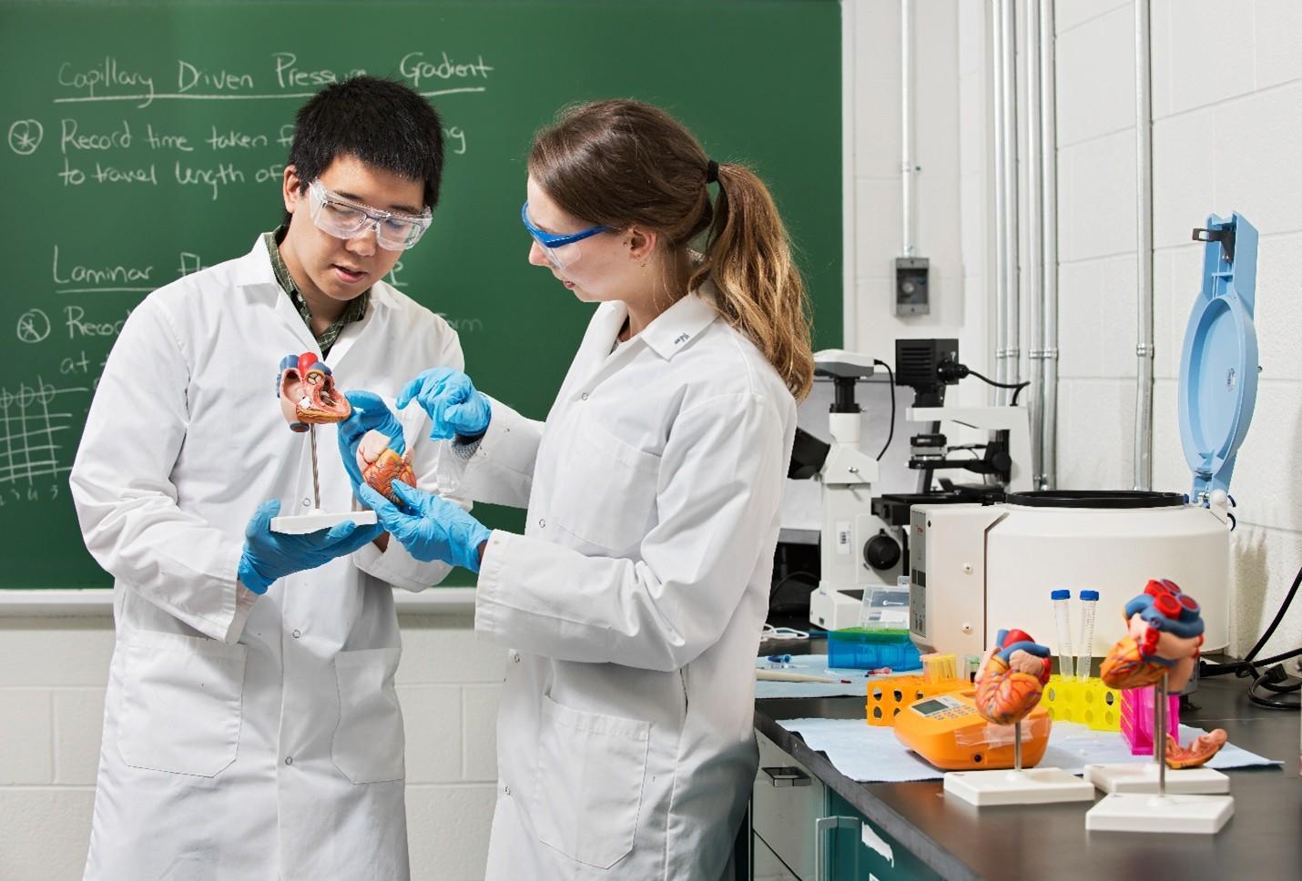 Researchers in a lab