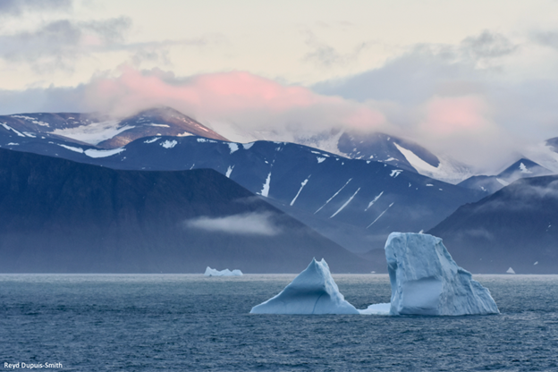 Des icebergs dans l’eau avec des montagnes en arrière-plan, dans l’Arctique – Photo : Reyd Dupuis-Smith