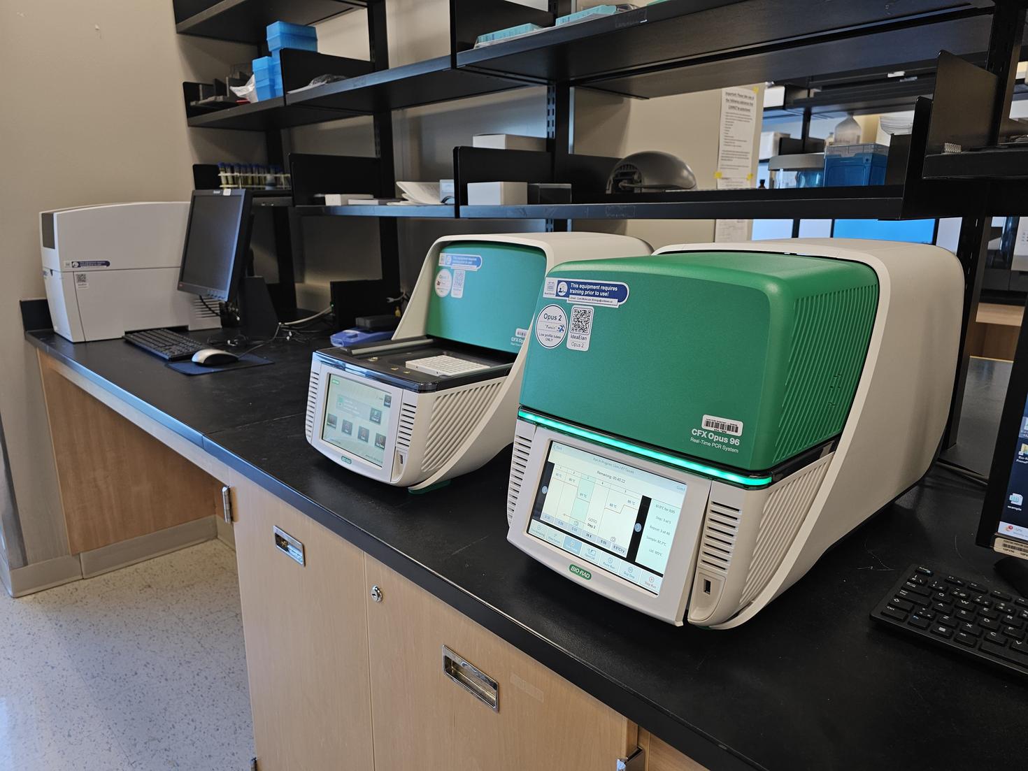 Réaction en chaîne par polymérase quantitative en temps réel (qPCR)