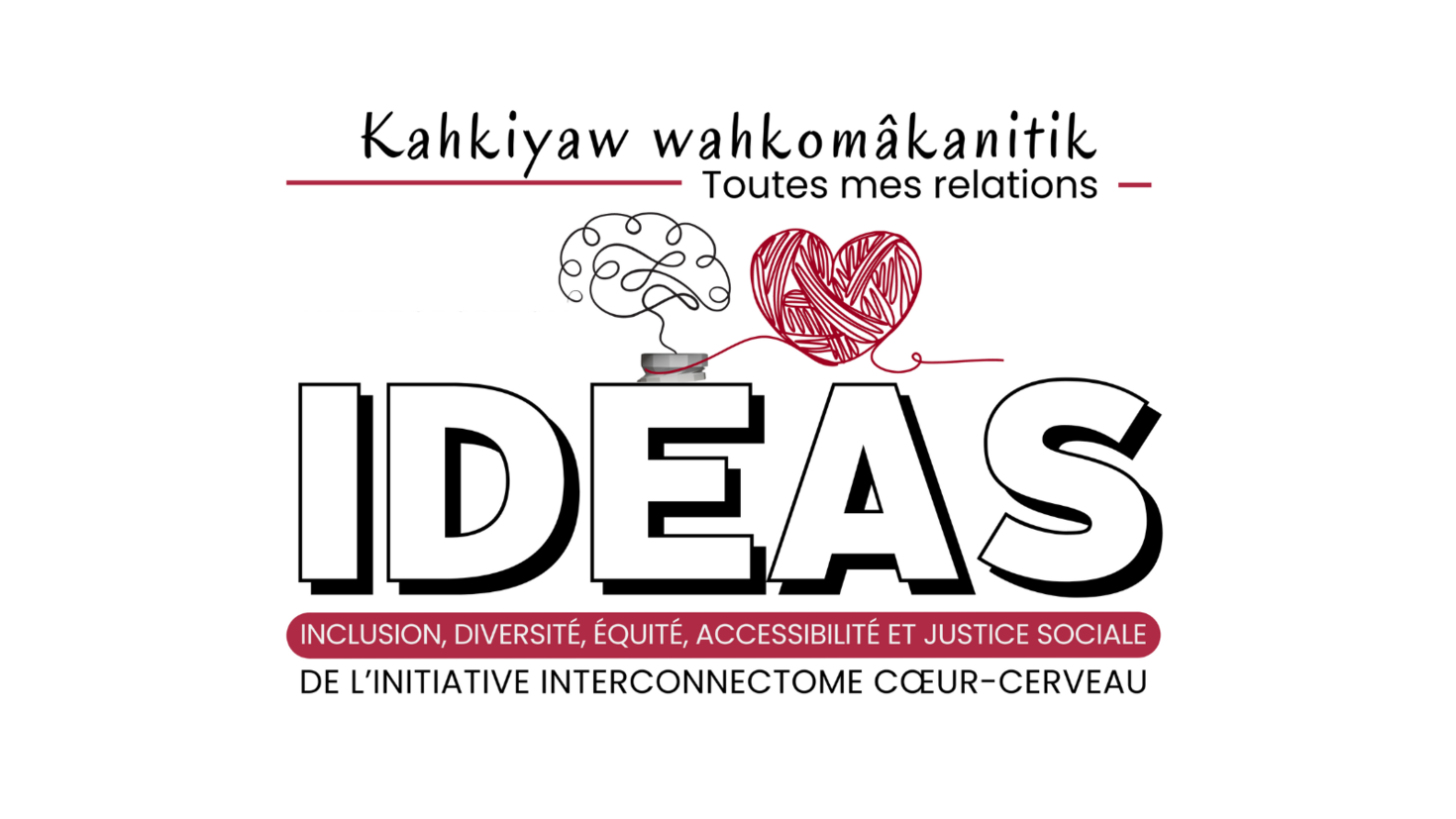 IDEAS logo FR.
