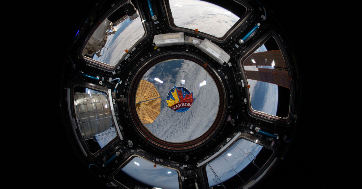 À l’arrière-plan, on voit l’insigne MARROW dans le hublot du module d’observation de la coupole de la SSI survolant la Terre. 