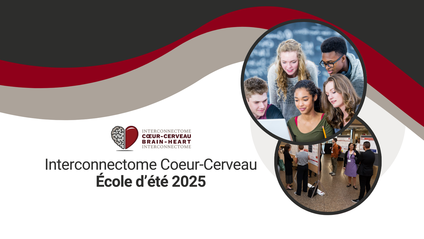 Interconnectome Coeur-Cerveau École d’été 2025
