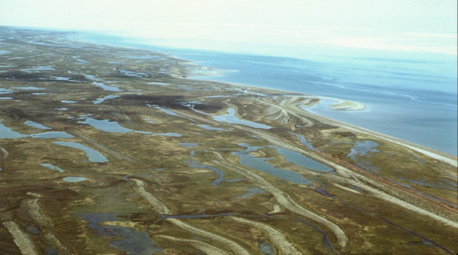 Série de crêtes de tempête dans la baie d’Hudson, signe d’un soulèvement des terres dû au dégagement par les glaces — Photo : Lynda Dredge (Commission géologique du Canada)