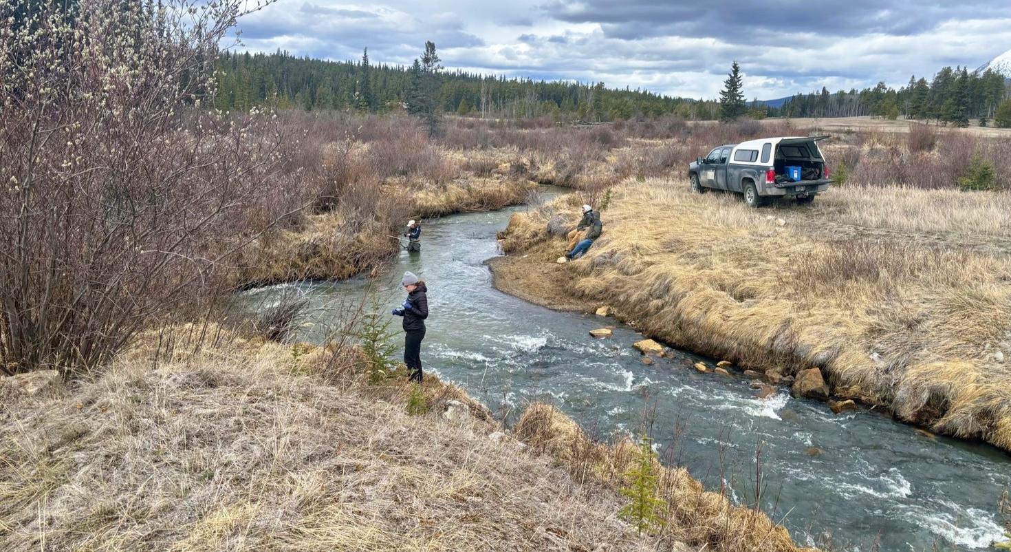 : Quatre chercheuses travaillent le long d’un petit ruisseau sinueux dans un paysage herbeux et partiellement boisé, sous un ciel nuageux. 