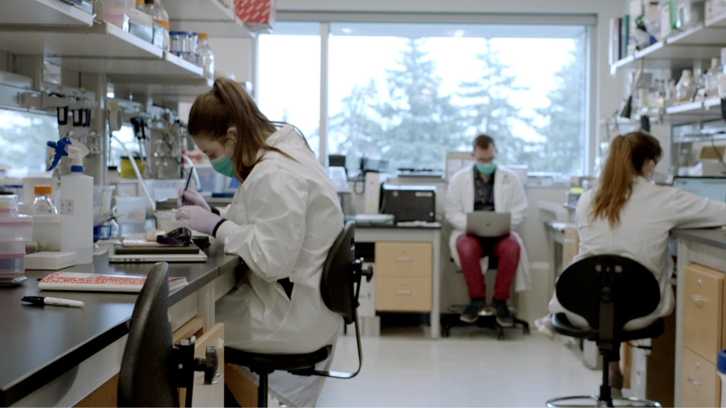Trois scientifiques travaillent dans un laboratoire