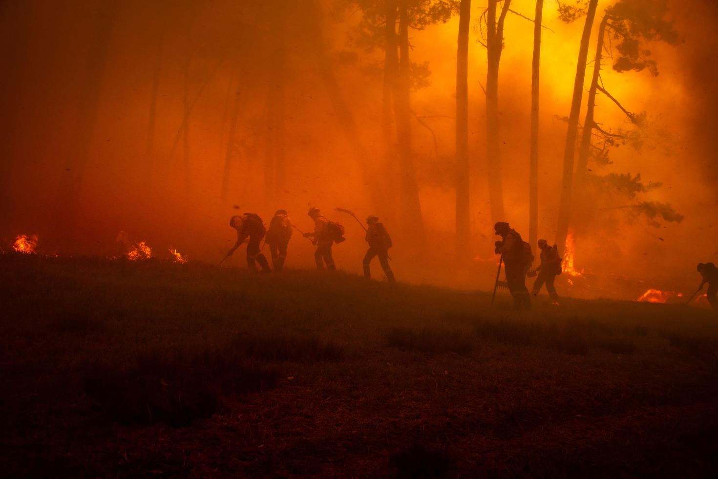 Photo d'un feu de forêt