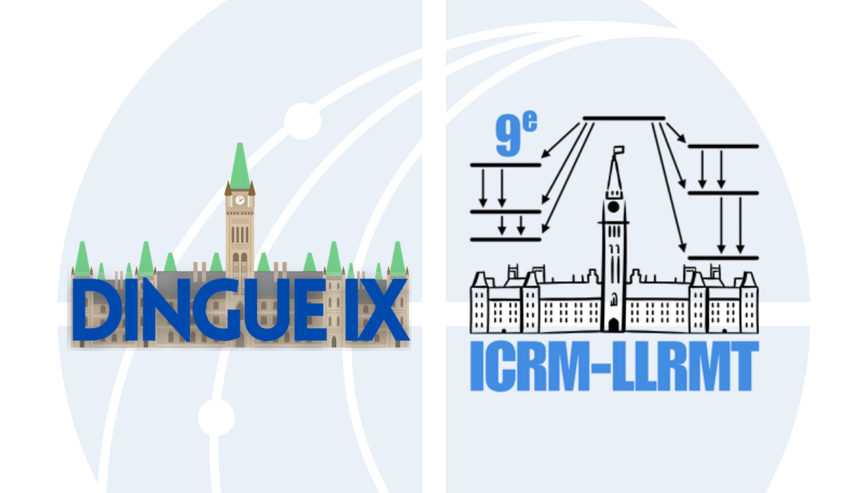 Les logos de DINGUE et ICRM-LLRMT