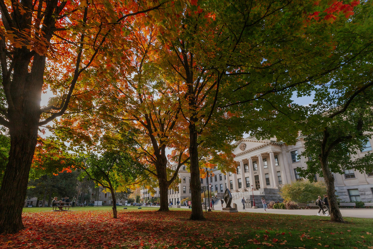 Landscape photo of the front steps Tabatet Hall lawn with fall fall-coloured trees and a blue sky.