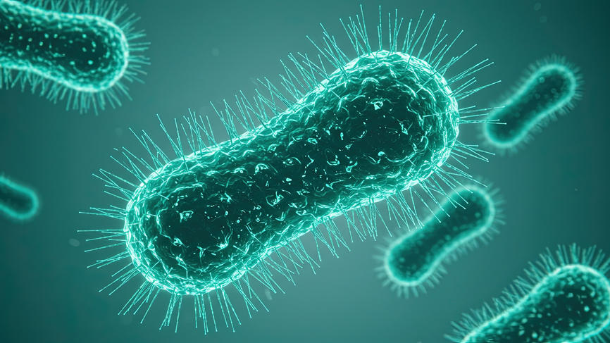 Cilia