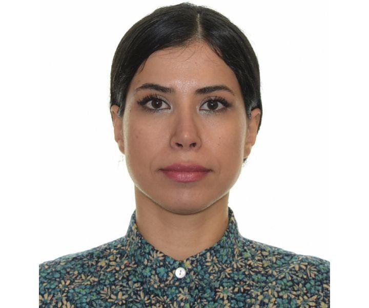 Farinaz Basmechi
