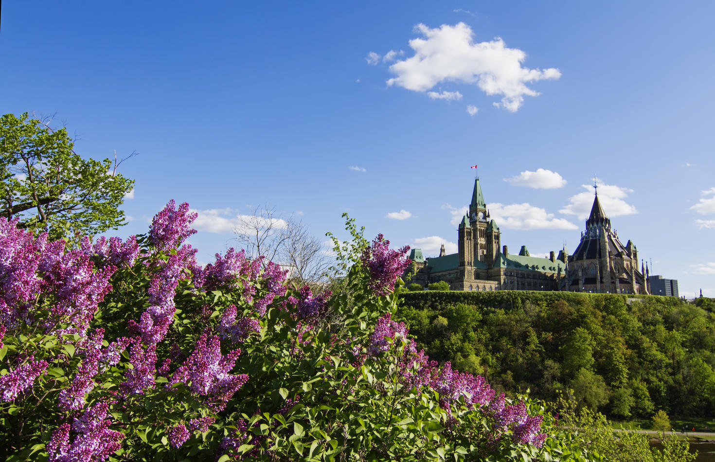 Image du Parlement du Canada pris de Gatineau