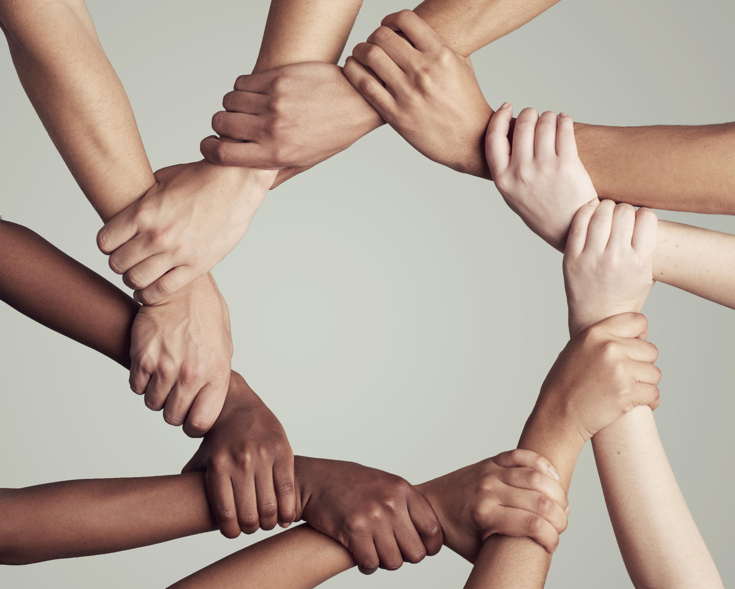 Unis par la diversité