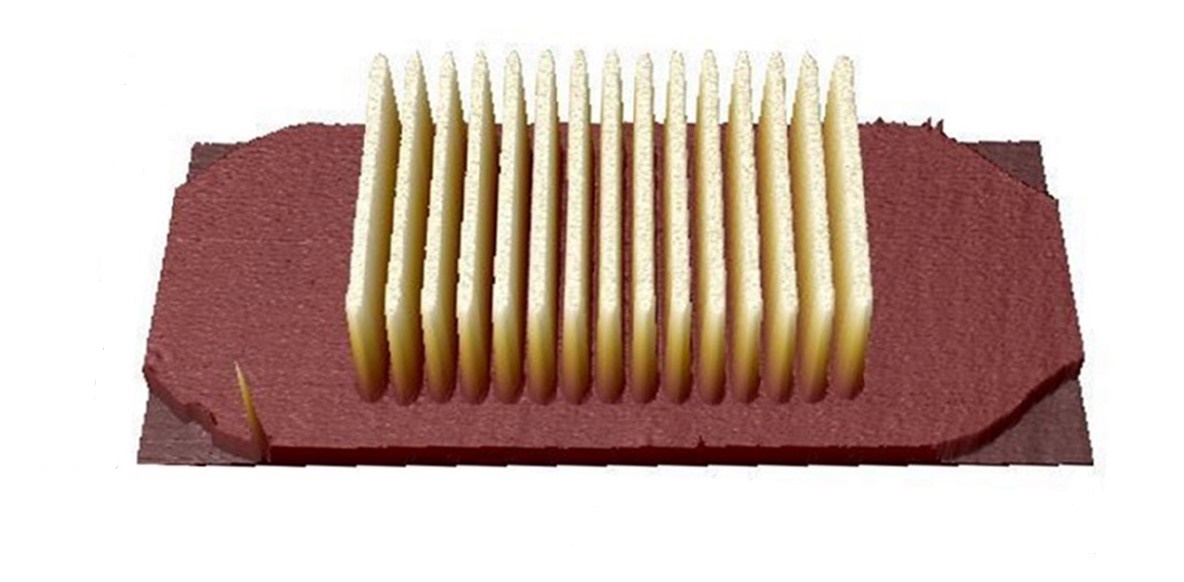 Image taken via AFM
