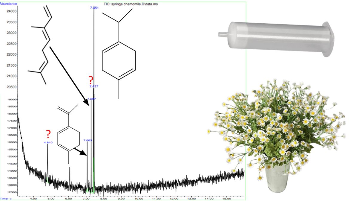 Chamomile headspace chromatogram