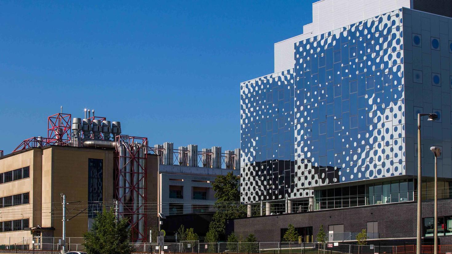 Exterior view of stem complex showing the eyes