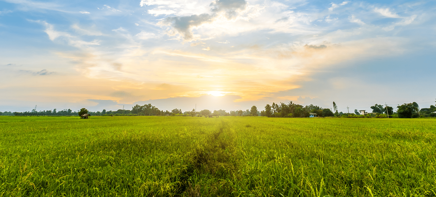 agricultural land