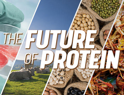 Collage of imagines of food and nature