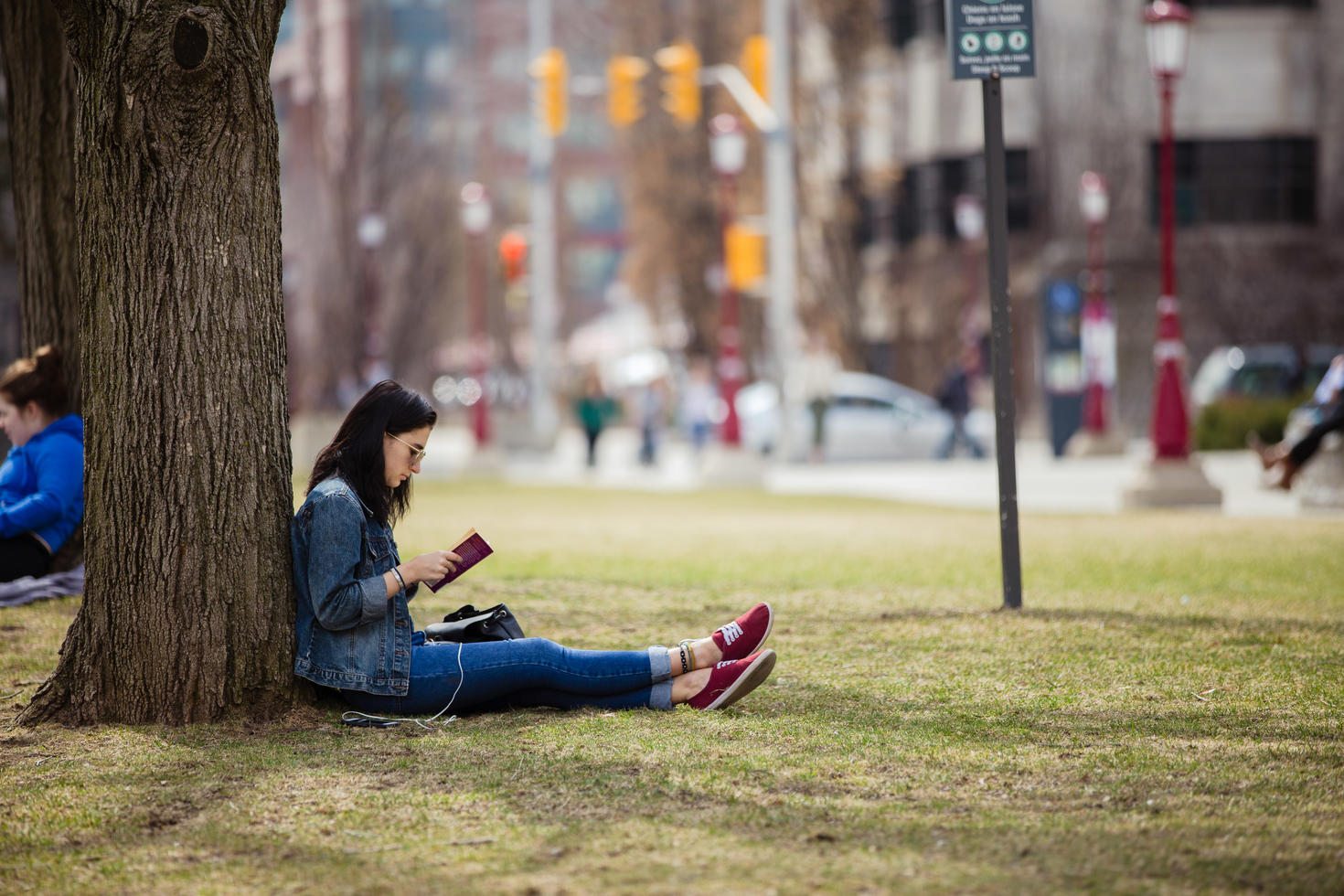 student sitting at the foot of a tree and looking at a book