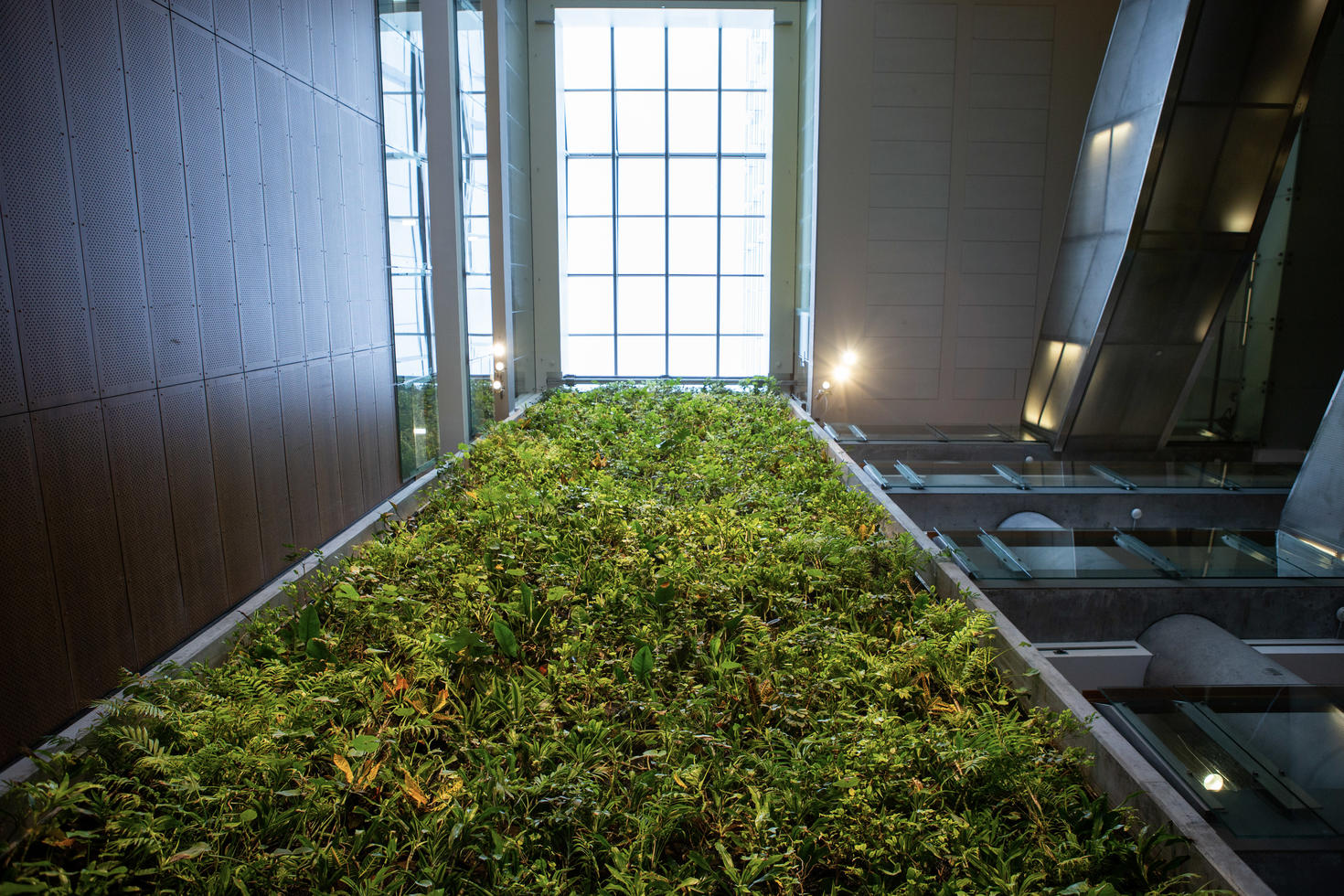 Living wall in FSS building