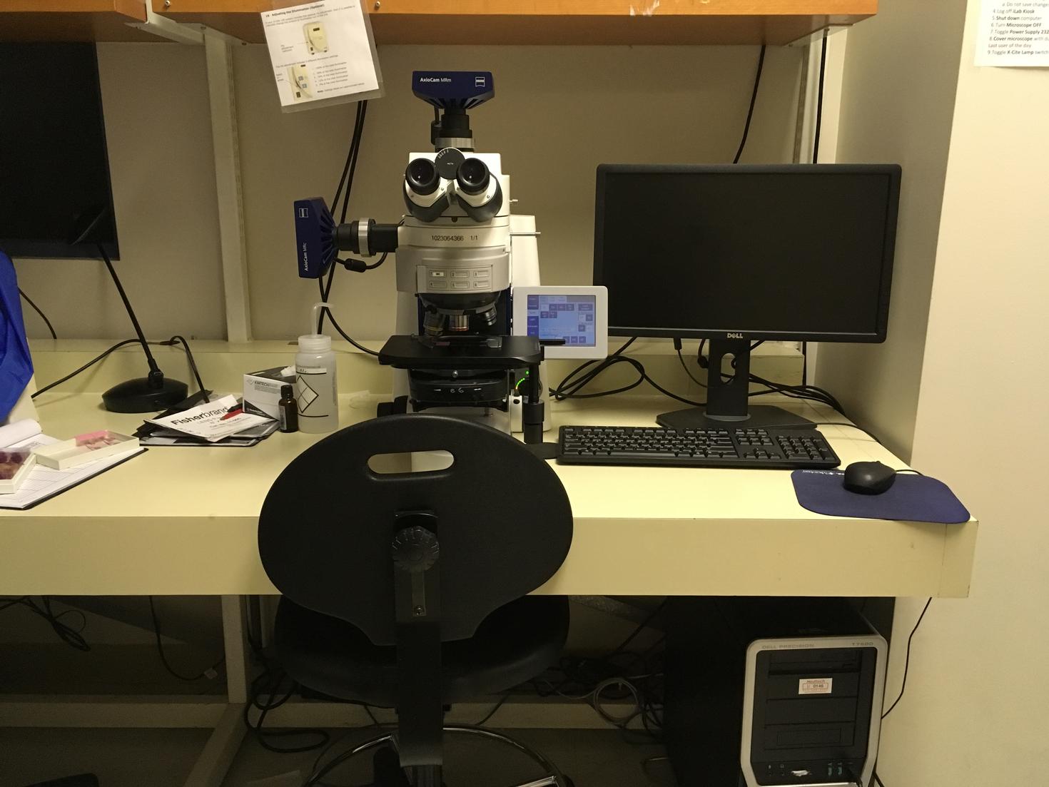 Zeiss AxioImager M2 microscope