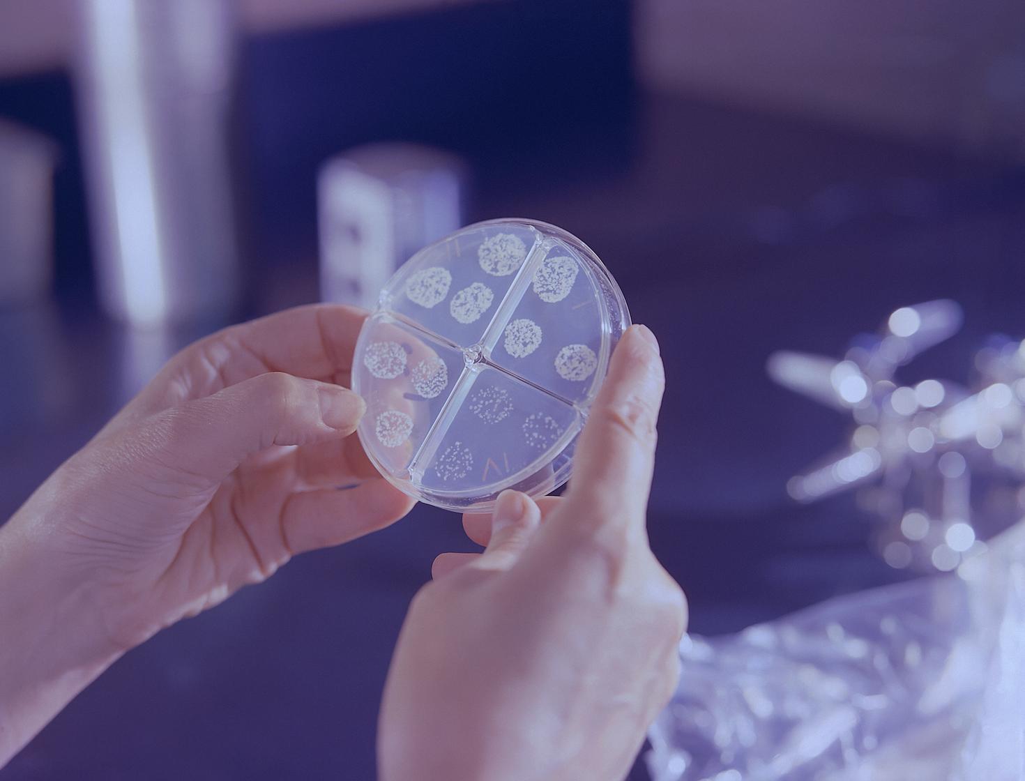 close up on hands holding a sample in a lab